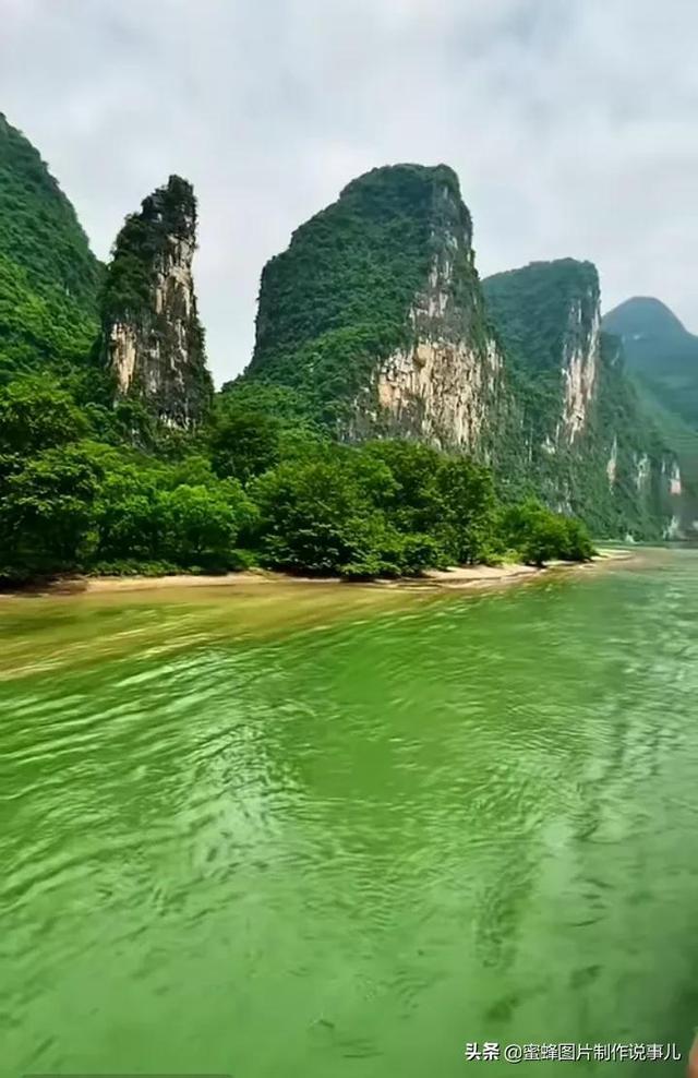时尚小鸡救援